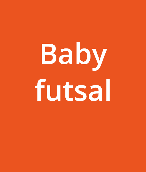 ETOILE LAVALLOISE MAYENNE FUTSAL CLUB Futsal Laval Composant 25 – 4